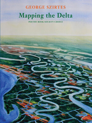 cover image of Mapping the Delta